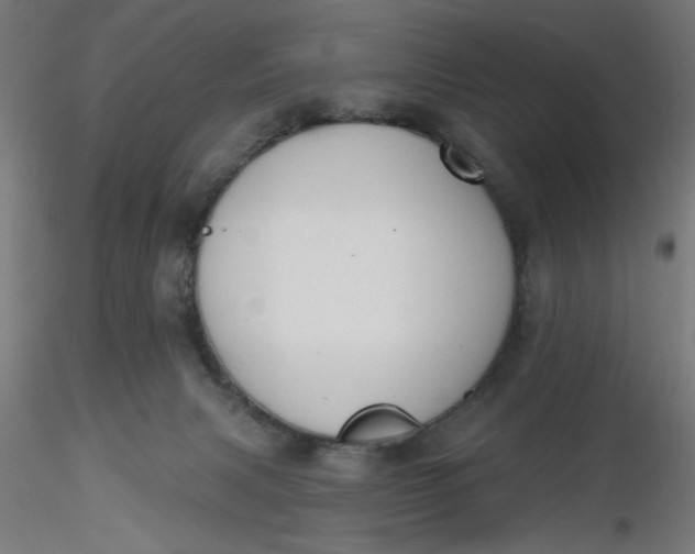 X0000116650079200912291625