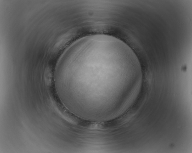 X0000116650080200912291625