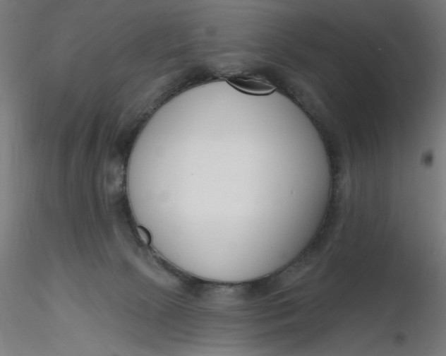 X0000116650081200912291625