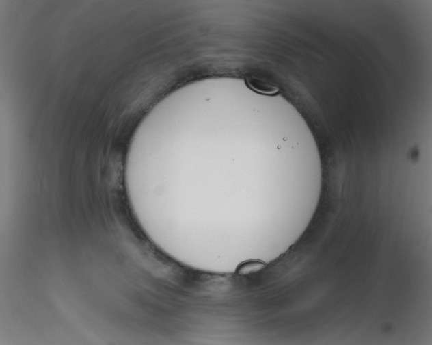 X0000116650083200912291625