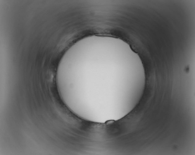 X0000116650084200912291625