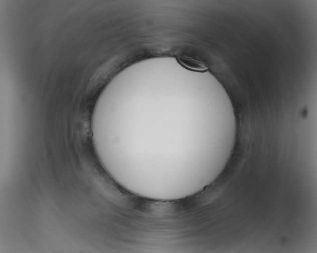 X0000116650085200912291625