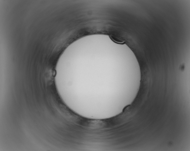 X0000116650087200912291625