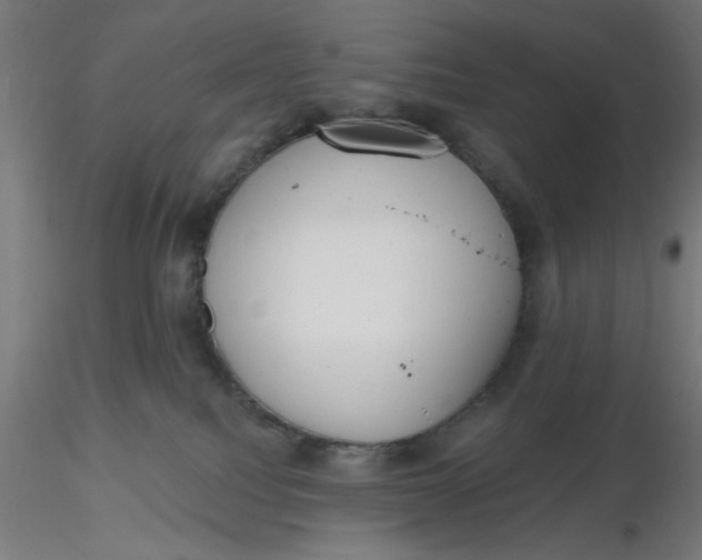 X0000116650088200912291625