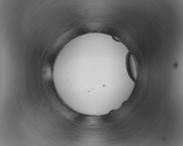 X0000116650089200912291625