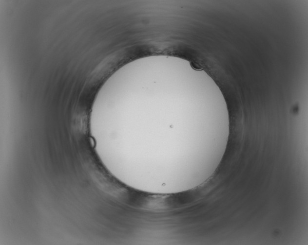 X0000116650090200912291625