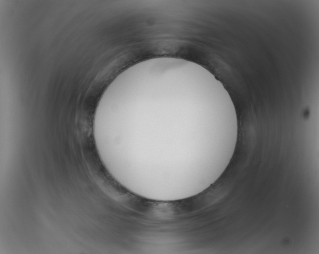 X0000116650091200912291625