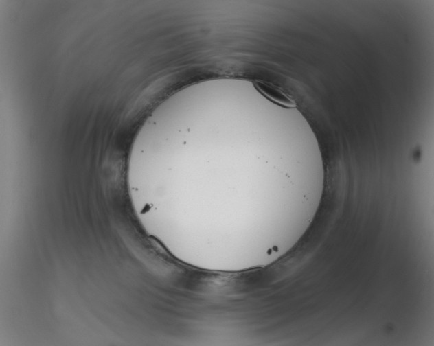 X0000116650092200912291625