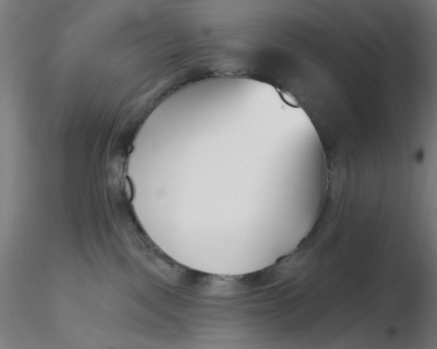 X0000116650093200912291625