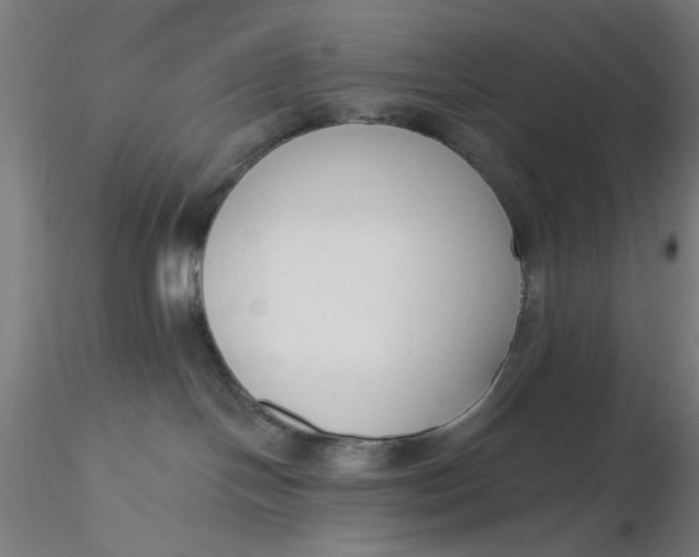 X0000116650094200912291625