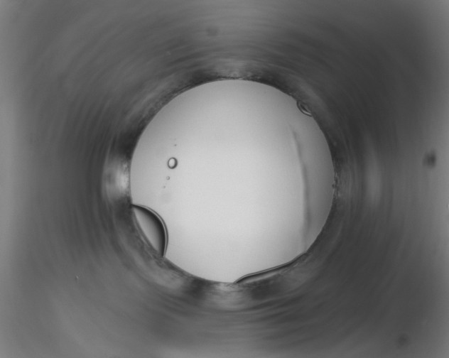 X0000116650095200912291625