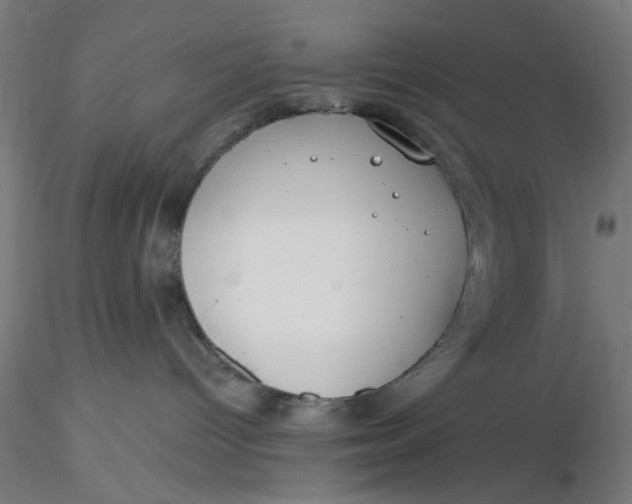 X0000116650096200912291625