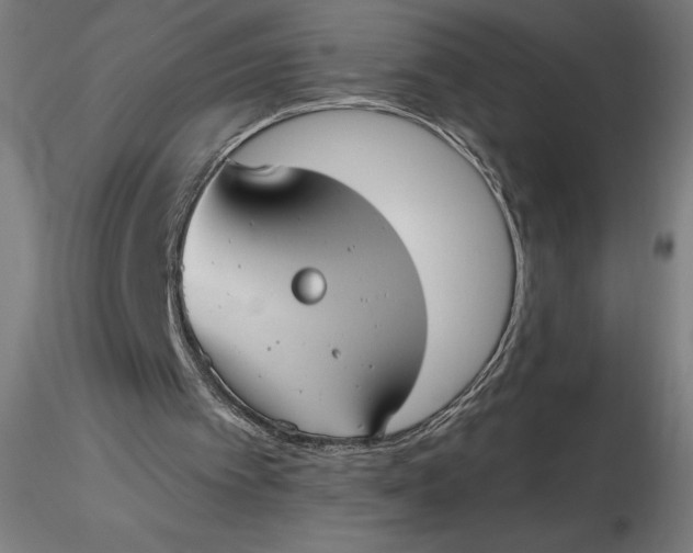 X0000116650097200912291624