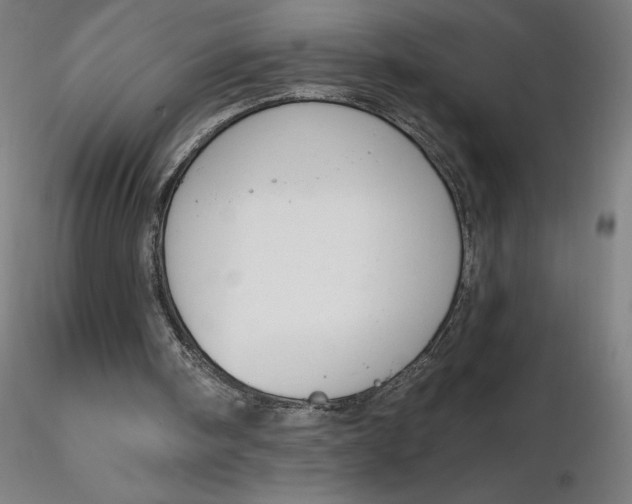 X0000116650098200912291624