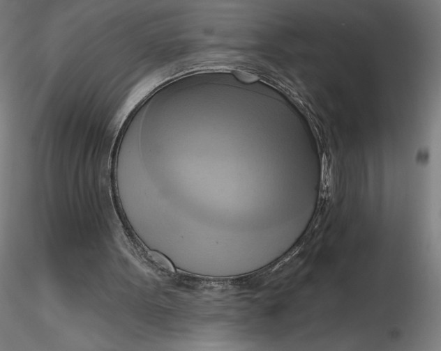 X0000116650099200912291624