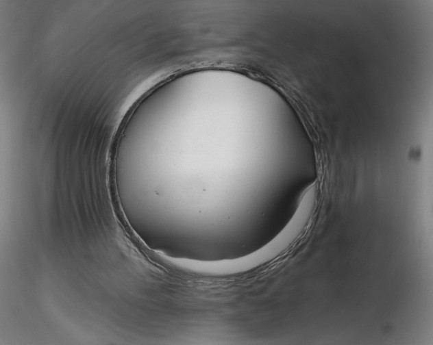 X0000116650100200912291624