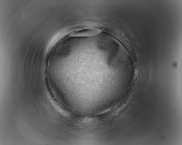 X0000116650101200912291624