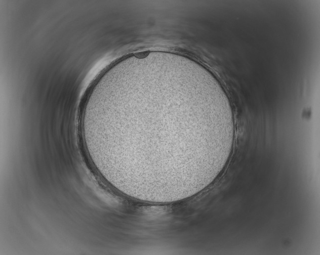 X0000116650102200912291624