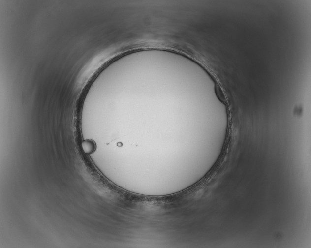 X0000116650103200912291624