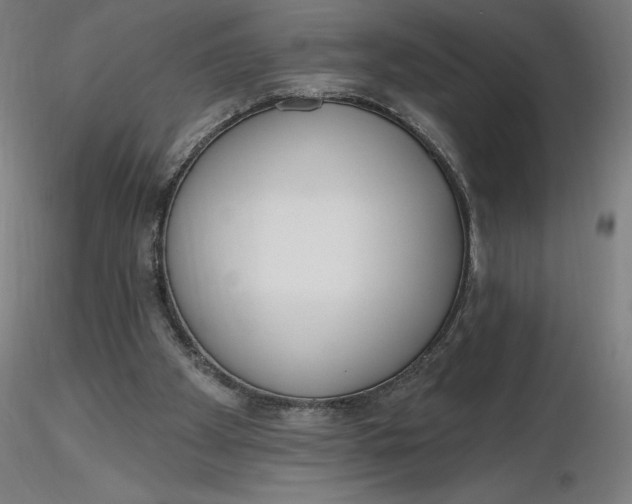 X0000116650105200912291624