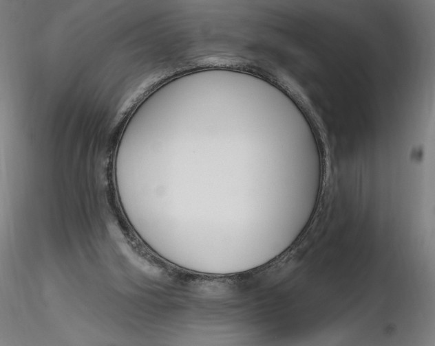 X0000116650106200912291624