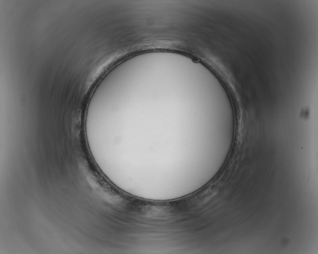 X0000116650107200912291624