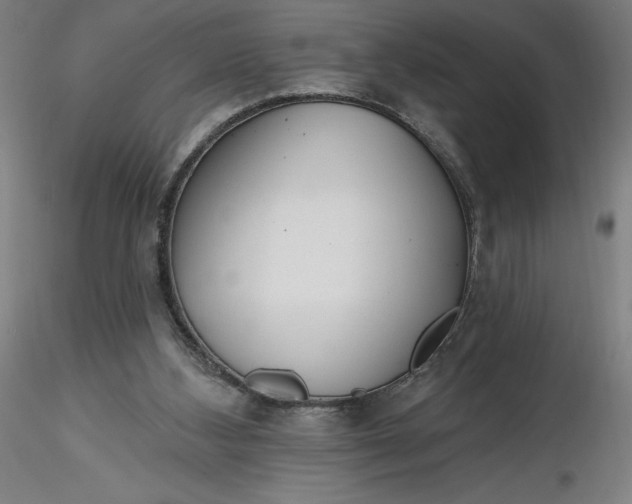 X0000116650108200912291624