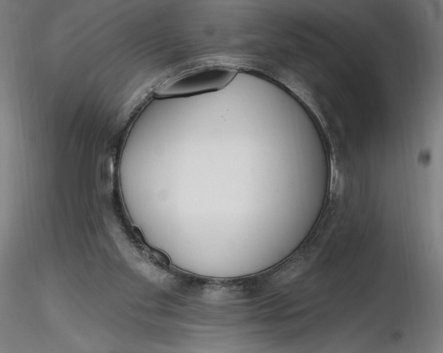 X0000116650109200912291624