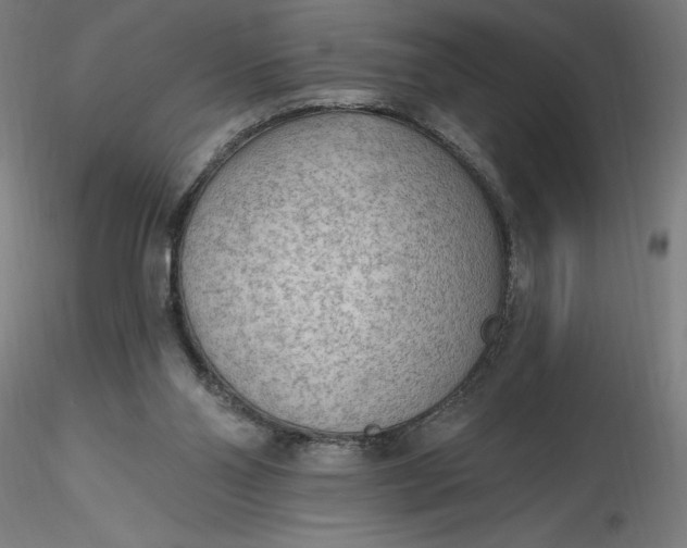 X0000116650110200912291624