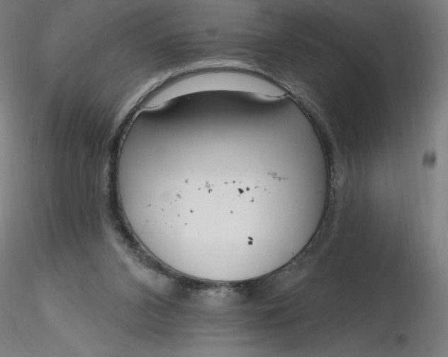 X0000116650112200912291624