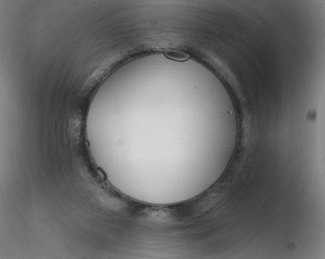 X0000116650113200912291624