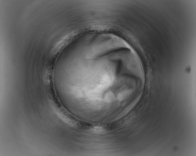 X0000116650114200912291624