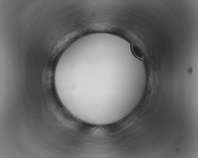 X0000116650115200912291624