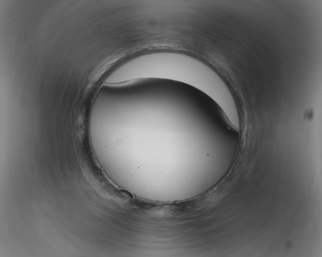 X0000116650116200912291624