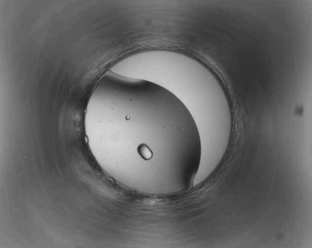 X0000116650117200912291624