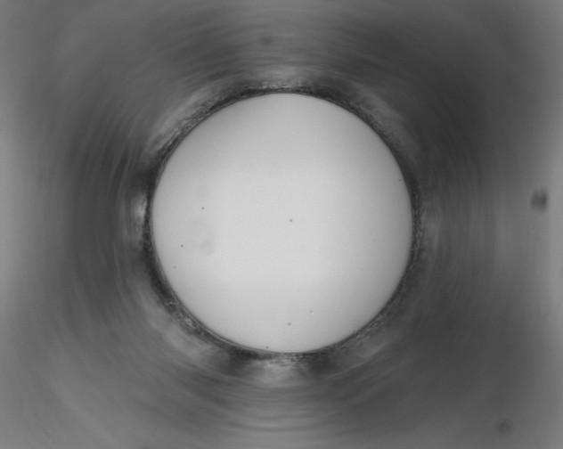 X0000116650118200912291624