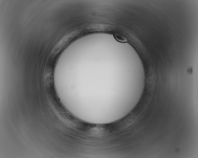 X0000116650119200912291624