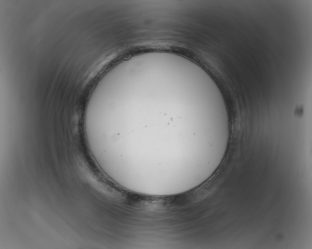 X0000116650120200912291624