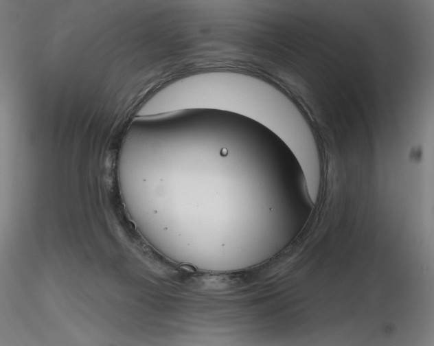 X0000116650121200912291624