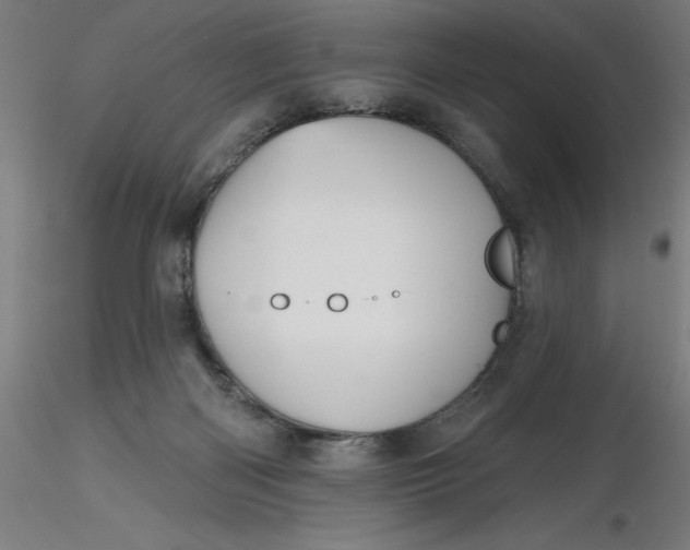 X0000116650122200912291624