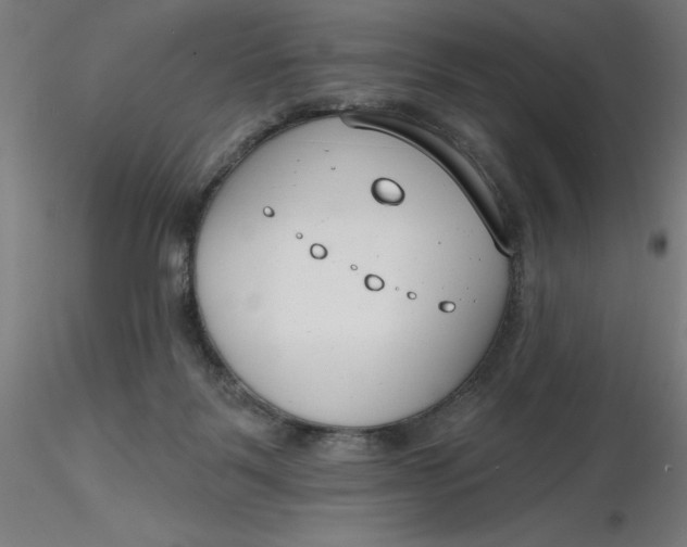 X0000116650123200912291624