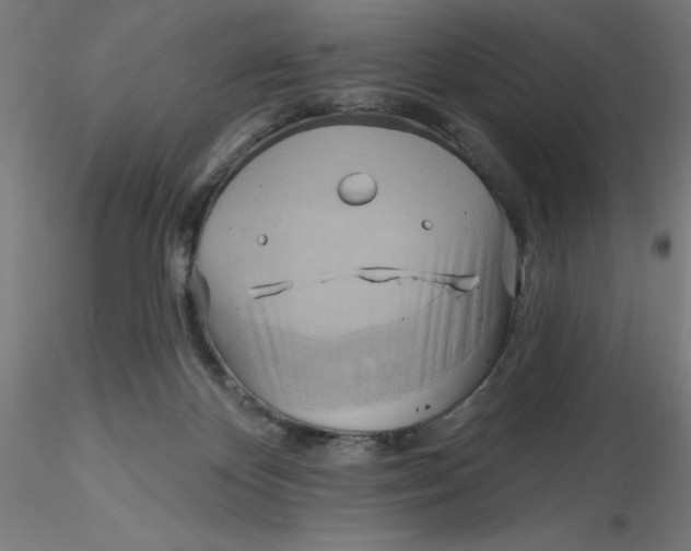 X0000116650124200912291624