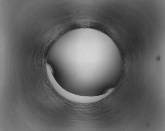 X0000116650125200912291624