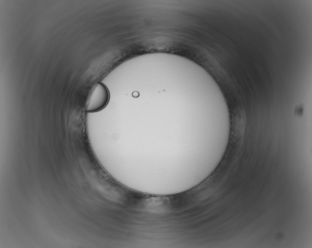 X0000116650126200912291624