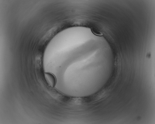 X0000116650127200912291624