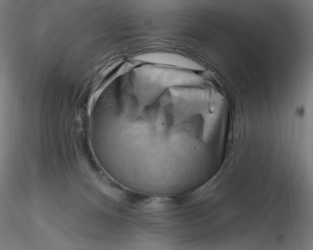 X0000116650128200912291624