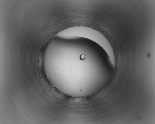 X0000116650129200912291624