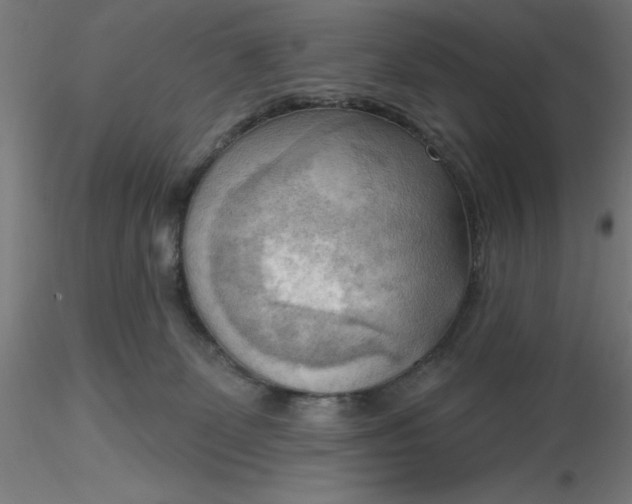 X0000116650131200912291624