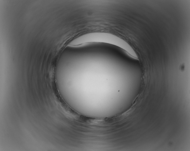 X0000116650132200912291624