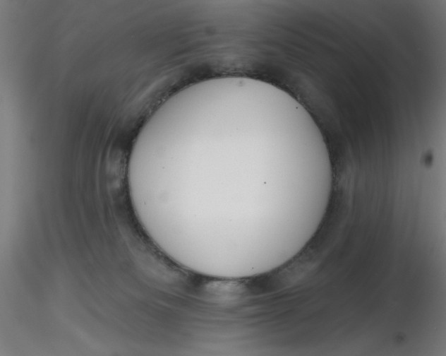 X0000116650133200912291624